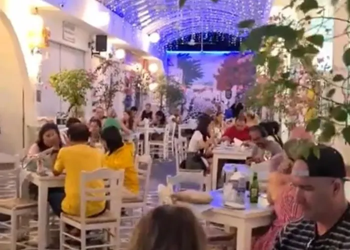 Filo's Paradise